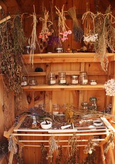 the shelves are filled with plants and jars