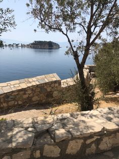 an old stone wall next to a tree and the ocean with boats in the distance