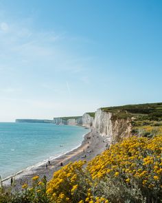 the beach is full of people and yellow flowers