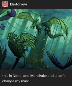 an image of a dragon in the woods with text that reads, this is nettie and mandrae and u can't change my mind