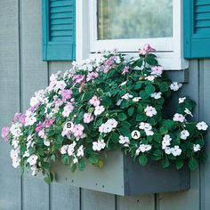 a window box with pink and white flowers on the side of a gray house next to green shutters