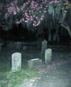 a cemetery at night with pink flowers on the tree