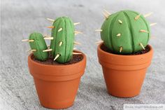 two green cactus plants sitting in a clay pot