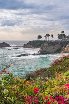 the ocean is full of pink flowers and palm trees in the distance, along with rocky coastline