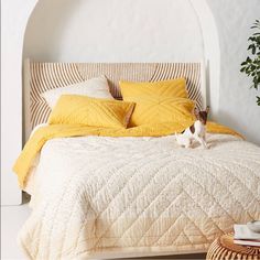 a cat sitting on the edge of a bed with yellow sheets and pillows in a white room