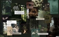 a collage of images with trees and animals