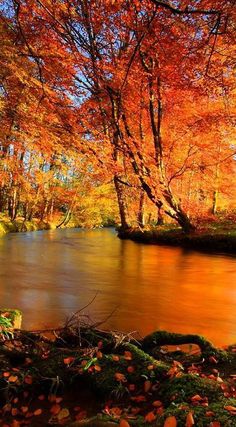 a river surrounded by trees with orange leaves