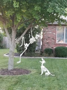 two skeletons are in the grass near a tree and a dog is standing on its hind legs