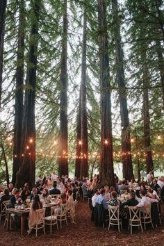 a large group of people sitting at tables in the middle of a forest with lights strung from trees