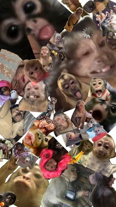 a collage of many different faces and animals