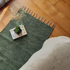 a small potted plant sitting on top of a green rug next to a pillow