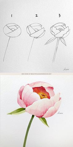 three different types of flowers are shown in this drawing book, including one pink flower