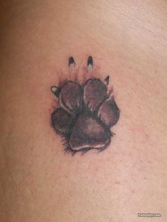 an animal paw tattoo on the back of a woman's stomach, with three smaller paws