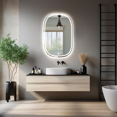 a bathroom with a sink, mirror and ladder in the wall next to a potted plant