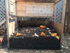 a chicken coop filled with compost and dirt