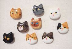 there are many different kinds of cat magnets on the table with each one's face