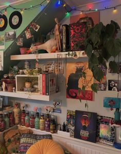 a room filled with lots of books and various items on top of shelves next to a plant