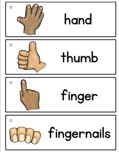 the hand and finger symbols are shown in this printable worksheet for kids