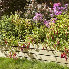 some purple and red flowers in a wooden planter