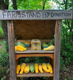 an outdoor stand with squash and gourds for sale in the woods on a sunny day