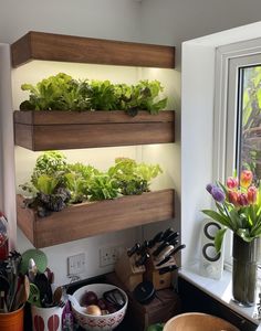 an indoor garden is displayed on the wall above a window sill in a kitchen