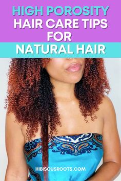 Hair Care For High Porosity Hair, High Porosity 4c Hair, Best Products For High Porosity 4c Hair, Best Oils For High Porosity Hair, High Porosity Hair Care, Moisturizing 4c Low Porosity Hair, How To Take Care Of 4c Low Porosity Hair, High Porosity Natural Hair, Tips For Hair Growth