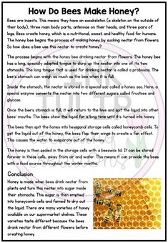 a page from the book how do bees make honey?