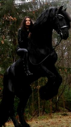 a woman riding on the back of a black horse in a wooded area with trees