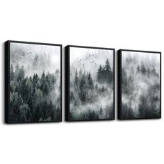 three black and white paintings with trees in the foggy forest, on a wall