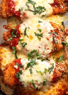 three chicken parmesan casserole in a pan with cheese and herbs on top