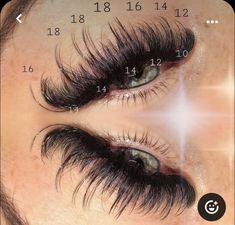 Whispy Lashes Extensions, Lashes Extensions Map, Whispy Lashes Extensions Map, Eyelashes Tutorial, Lash Mapping, Lash Extentions