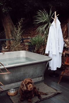 a brown dog sitting in front of a bath tub with clothes hanging on the rack