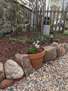 a potted plant sitting on top of a pile of rocks next to a fence