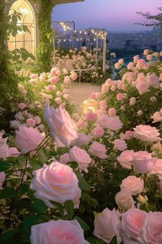 pink roses are blooming in front of a gazebo with lights on the roof