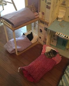 two cats are sleeping on the floor in front of a doll house with bunk beds