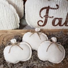 three white pumpkins sitting on top of hay