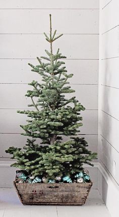 a small christmas tree sitting in a wooden crate on the floor next to a wall