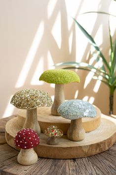 three different colored mushrooms sitting on top of a wooden table next to a potted plant