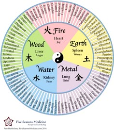 5 Chinese Elements, 5 Elements Chinese Medicine, Emotional Iq, Le Mal A Dit, Tcm Traditional Chinese Medicine, Web Of Life, Chakra Health, Emotion Chart, Tipping Point