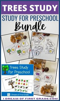 trees study for preschool and first grade students to practice the tree's life cycle