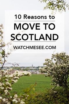 the words 10 reasons to move to scotland in front of a field with white flowers