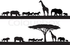 the silhouettes of animals in different stages of their life, including elephants and giraffes