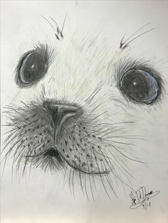 a drawing of an animal's face with blue eyes