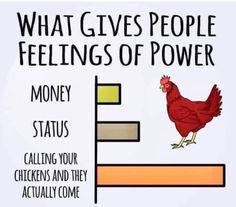 a sign that says, what gives people feelings of power money status calling your chickens and they actually come