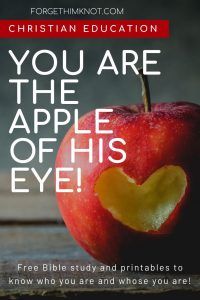 an apple with the words you are the apple of his eye