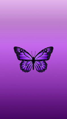 a purple and black butterfly on a purple background