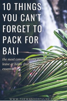 palm leaves with the words 10 things you can't forget to pack for bali