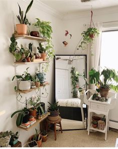 a living room filled with lots of furniture and plants on top of bookshelves