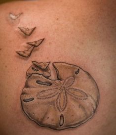 a sand dollar tattoo on the back of a woman's shoulder