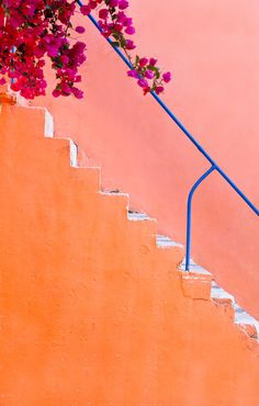 pink flowers are growing on the steps leading up to an orange wall with blue handrails